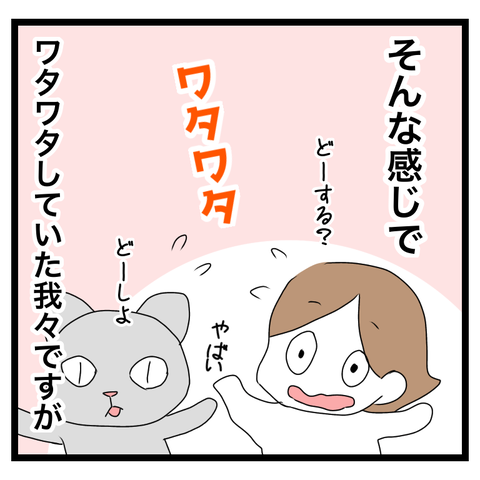 DB97695C-9EC6-4B81-8FBF-3011381F7698