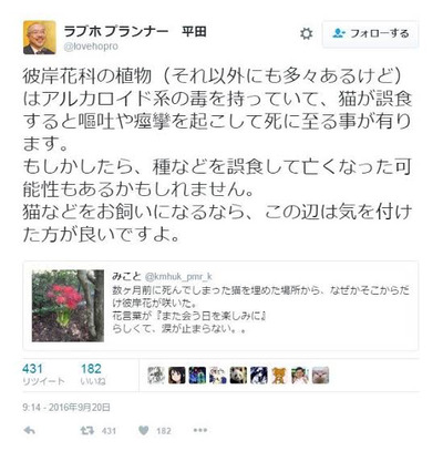 ★画像説明★