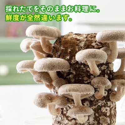 スロットとパチンコのまとめ鈴木さん速報