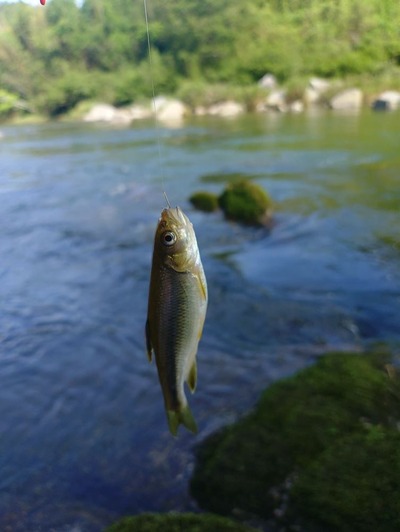 スマスロまとめ