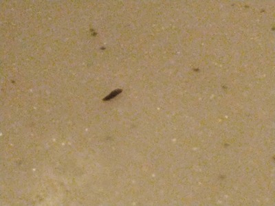 スロットとパチンコのまとめ鈴木さん速報