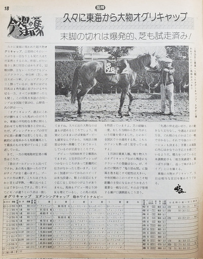 ★画像説明★