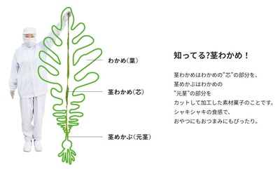 パチンコまとめ