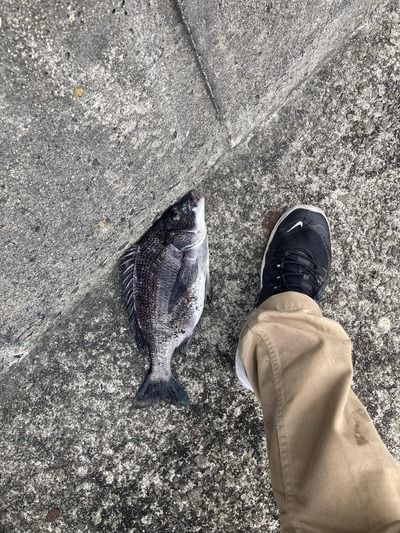 パチンコ・スロットに関連する画像