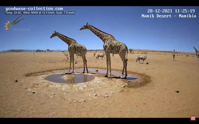 スロットとパチンコのまとめ鈴木さん速報