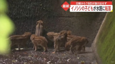 スロットとパチンコのまとめ鈴木さん速報