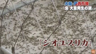 パチンコまとめ