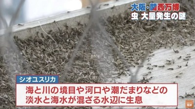 の評価・感想・評判