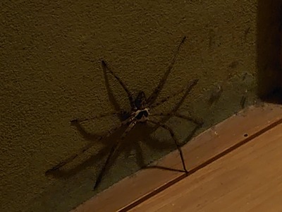 スロットとパチンコのまとめ鈴木さん速報