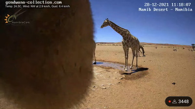 スロットとパチンコのまとめ鈴木さん速報