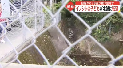 スロットとパチンコのまとめ鈴木さん速報