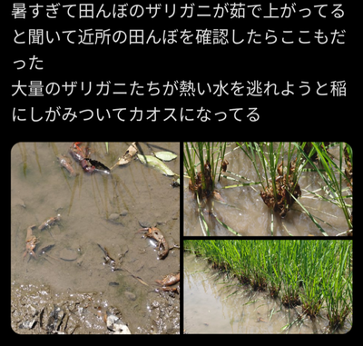 ★画像説明★