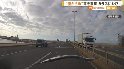 ★画像説明★
