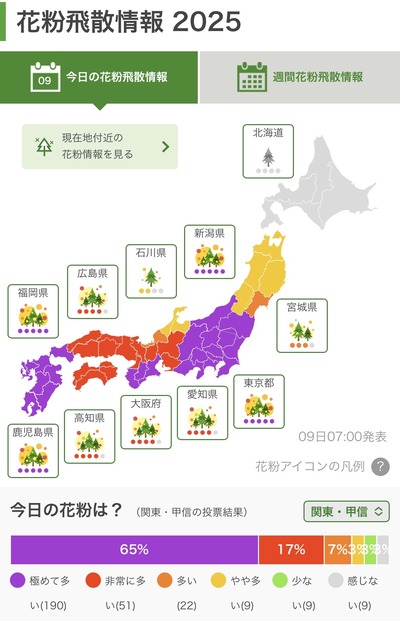 ★画像説明★