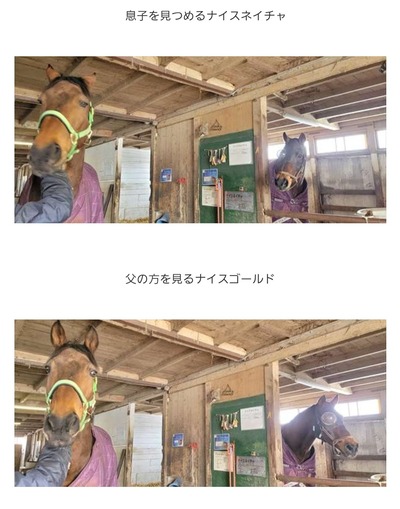 スロットとパチンコのまとめ鈴木さん速報