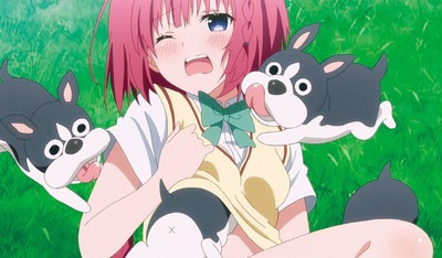 の新台評価・感想