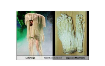 LADY GAGA パチンコ 新台 口コミ 評価 感想に関連する画像4