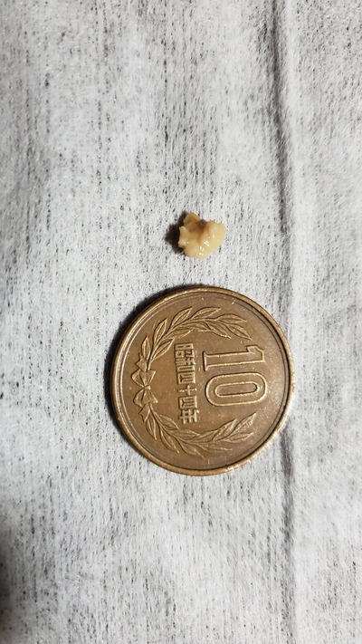 パチンコ・スロットに関連する画像