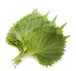 スロットB級グルメ