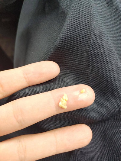 スロットとパチンコのまとめ鈴木さん速報