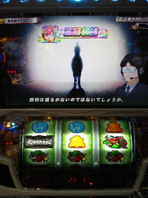G1優駿倶楽部2まこまこ2の画像