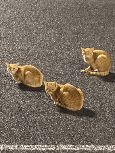 パチンコ・スロットに関連する画像