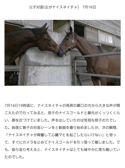 スロットとパチンコのまとめ鈴木さん速報