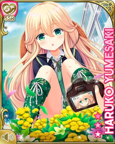 ★画像説明★