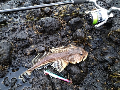 パチンコ・スロットに関連する画像