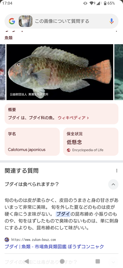 ★画像説明★
