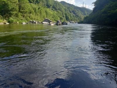 パチンコまとめ