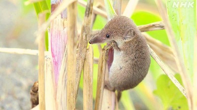 スロットとパチンコのまとめ鈴木さん速報