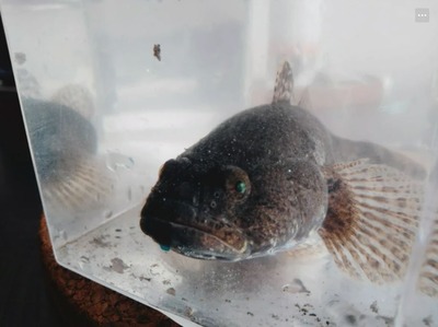 パチンコまとめ