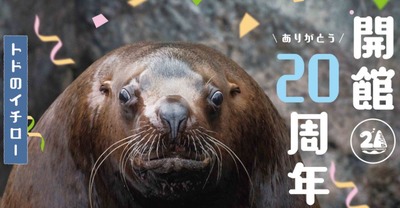 パチンコまとめ