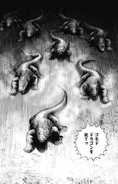 ★画像説明★