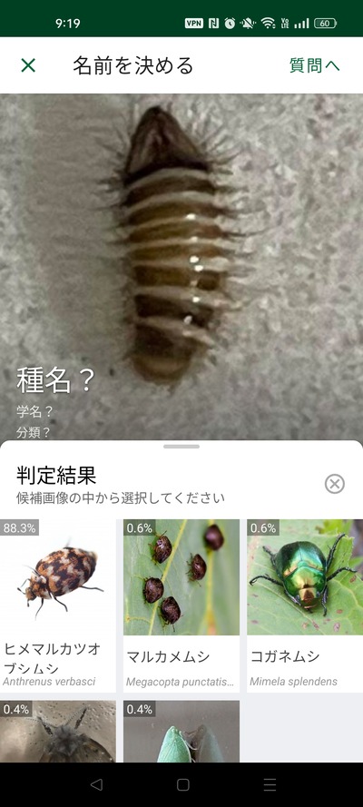 スロットとパチンコのまとめ鈴木さん速報