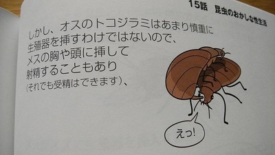 ★画像説明★
