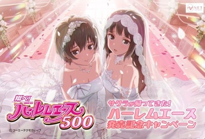 ハーレムエース500の評価・感想・評判