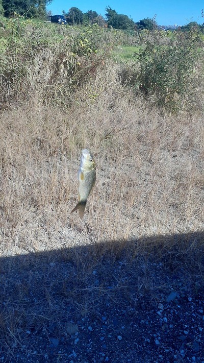 スロットとパチンコのまとめ鈴木さん速報