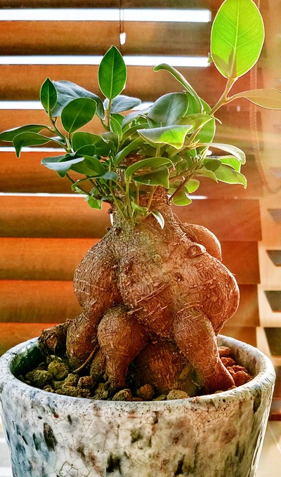 パチンコ・スロットに関連する画像