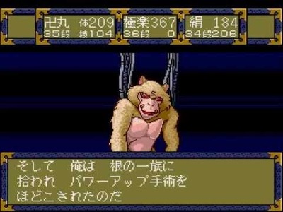 ★画像説明★