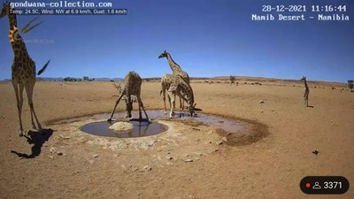 スロットとパチンコのまとめ鈴木さん速報