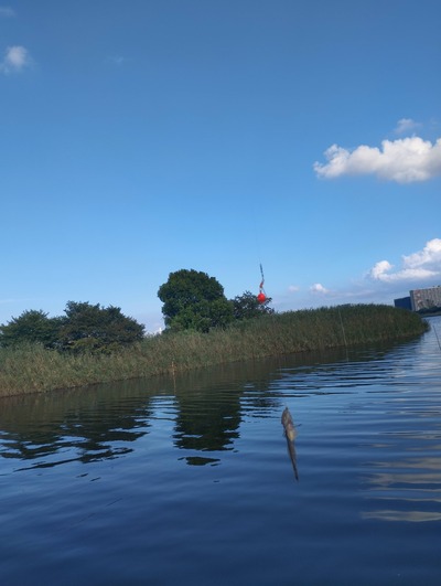 スロットとパチンコのまとめ鈴木さん速報