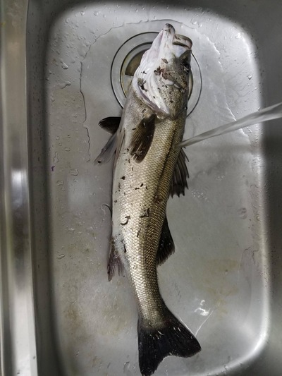 パチンコ・スロット　まとめに関連する画像