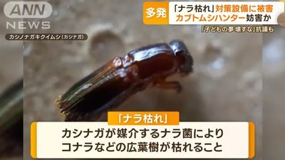 パチンコとパチスロの5chまとめ
