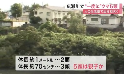 パチンコまとめ