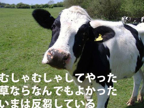 パチンコ・スロットに関連する画像