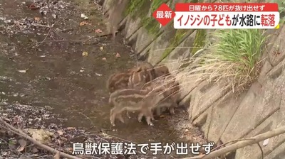 スロットとパチンコのまとめ鈴木さん速報