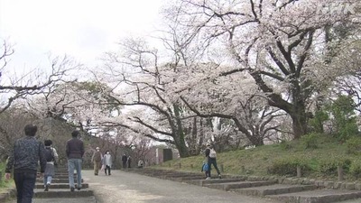 スロットとパチンコのまとめ鈴木さん速報