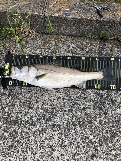 スロットとパチンコのまとめ鈴木さん速報